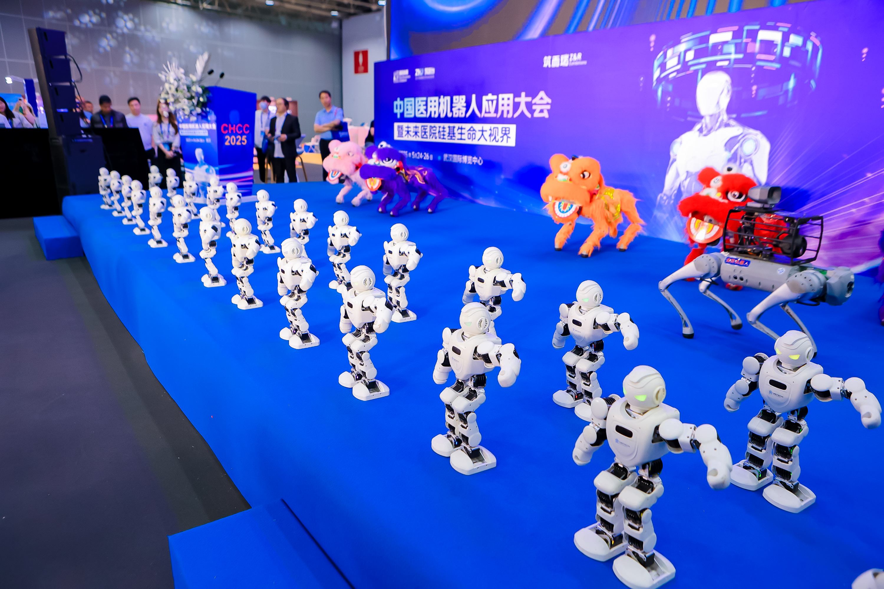 Integrating Medical, Rehabilitation, and Nursing: High-Quality Solutions for an Aging World 